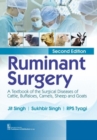 Image for Ruminant Surgery