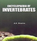 Image for Encyclopaedia Of Invertebrates