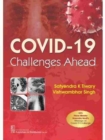 Image for COVID-19 Challenges Ahead