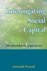 Image for Interrogating Social Capital