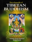 Image for Encyclopaedia of Tibetan Buddhism Volume-2 (Native Development in Tibetan Buddhism)