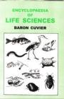 Image for Encyclopaedia of Life Sciences Volume-1 (Class Mammalia)