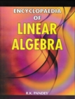 Image for Encyclopaedia of Linear Algebra Volume-2