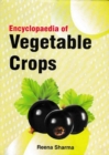 Image for Encyclopaedia Of Vegetable Crops