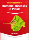 Image for Encyclopaedia Of Bacterial Diseases In Plants