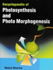Image for Encyclopaedia Of Photosynthesis And Photo Morphogenesis