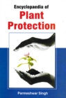 Image for Encyclopaedia Of Plant Protection