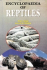 Image for Encyclopaedia of Reptiles Volume-1 (Life of Reptiles)