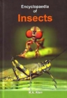 Image for Encyclopaedia of Insects Volume-2