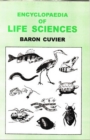 Image for Encyclopaedia of Life Sciences (Class Mammalia)