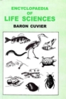 Image for Encyclopaedia of Life Sciences (Synopsis Of The Species Of Class Mammalia)
