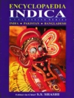 Image for Encyclopaedia Indica India-Pakistan-Bangladesh Volume-187 (Economic Policies of India, Pakistan and Bangladesh-V)