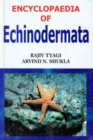 Image for Encyclopaedia of Echinodermata Volume-1 (Comparative Anatomy Of Echinodermata)