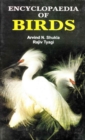 Image for Encyclopaedia of Birds