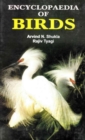Image for Encyclopaedia of Birds