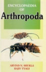 Image for Encyclopaedia of Arthropoda (Origin And Evolution Of Arthropods)