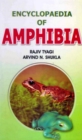Image for Encyclopaedia of Amphibia Volume-2 (Regeneration in Amphibia)