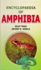 Image for Encyclopaedia of Amphibia Volume-3 (Amphibian Sex Organs)