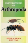 Image for Encyclopaedia of Arthropoda (Physiology of Arthropods)