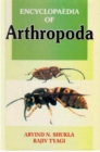 Image for Encyclopaedia of Arthropoda (Developmental Biology Arthropods)