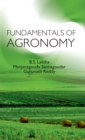 Image for Fundamental Of Agronomy