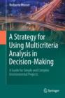 Image for A strategy for using multicriteria analysis in decision-making: a guide for simple and complex environmental projects