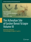 Image for The Acheulian site of Gesher Benot Ya&#39;agov.: (Mammalian taphonomy : the assemblages of layers V-5 and V-6)