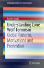 Image for Understanding lone wolf terrorism: global patterns, motivations and prevention
