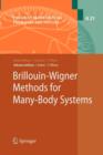 Image for Brillouin-Wigner Methods for Many-Body Systems