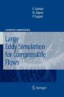 Image for Large Eddy Simulation for Compressible Flows