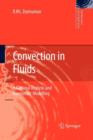 Image for Convection in Fluids : A Rational Analysis and Asymptotic Modelling