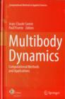 Image for Multibody dynamics  : computational methods and applications