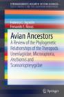 Image for Avian ancestors: a review of the phylogenetic relationships of the theropods Unenlagiidae, Microraptoria, Anchiornis and Scansoriopterygidae