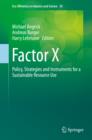 Image for Factor X: policy, strategies and instruments for a sustainable resource use