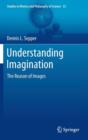 Image for Understanding imagination  : the reason of images