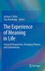 Image for The experience of meaning in life  : classical perspectives, emerging themes, and controversies