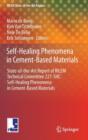 Image for Self-Healing Phenomena in Cement-Based Materials