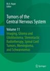 Image for Tumors of the Central Nervous System, Volume 11 : Pineal, Pituitary, and Spinal Tumors