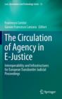 Image for The Circulation of Agency in E-Justice