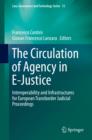 Image for The circulation of agency in e-justice: interoperability and infrastructures for European transborder judicial proceedings