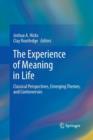Image for The Experience of Meaning in Life