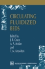 Image for Circulating Fluidized Beds