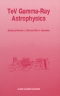 Image for TeV gamma-ray astrophysics: theory and observations, presented at the Heildelberg Workshop, October 3-7, 1994