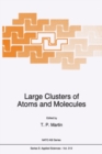 Image for Large Clusters of Atoms and Molecules