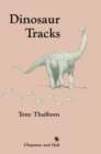 Image for Dinosaur tracks.