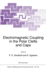 Image for Electromagnetic Coupling in the Polar Clefts and Caps