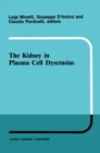 Image for kidney in plasma cell dyscrasias