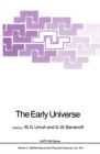 Image for The early universe