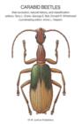 Image for Carabid Beetles