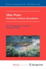 Image for Mine Water : Hydrology, Pollution, Remediation